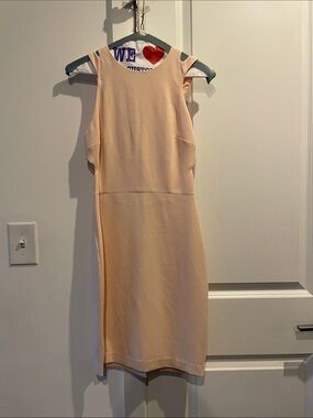 French Connection Soft Peach Sleeveless Dress